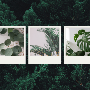 Photo-Collage-Template