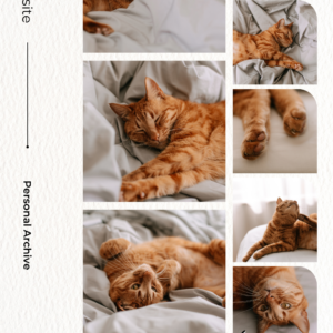 White-Sunday-Vibes-Photo-Collage-Instagram-story